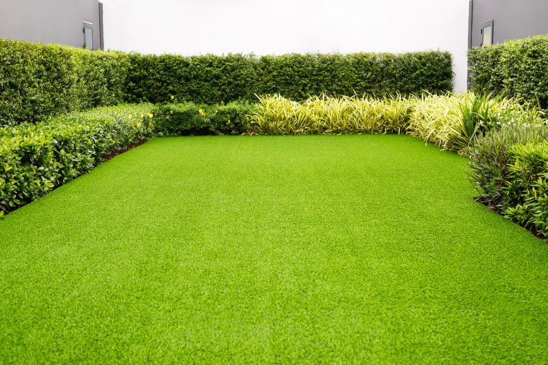 Healthy Lawn Maintenance
