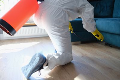 Pest Fumigation Service in Marietta, GA