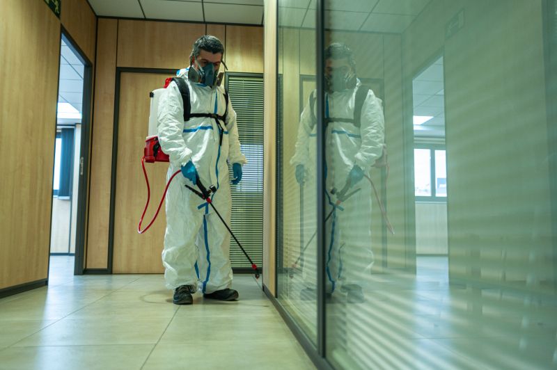 Spider Fumigation Service in Gwinnett County, GA